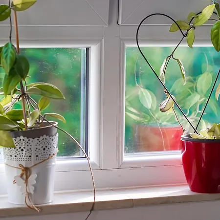 Moderne 3-zimmer-wohnung Im Herzen Von - Zentrale Lage, Komfort & Wlan شقة دارمشتاد